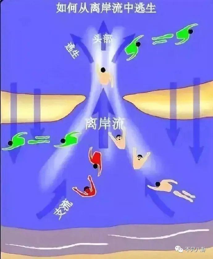 生日当天溺亡，他与老婆在海边初遇又在海边天人永隔
