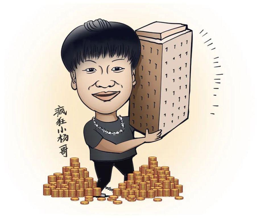 疯狂小杨哥，合肥制造