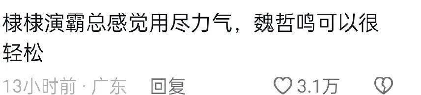 王鹤棣 白鹿原来也可以扑成这样。