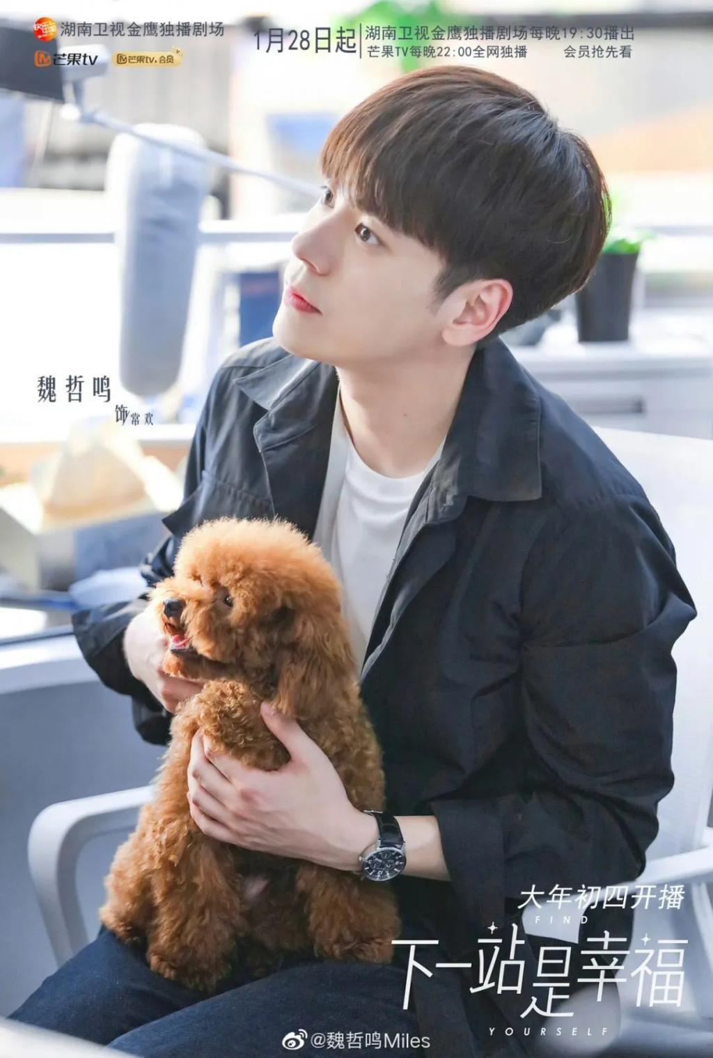 王鹤棣 白鹿原来也可以扑成这样。