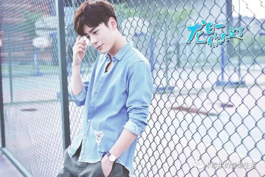 王鹤棣 白鹿原来也可以扑成这样。