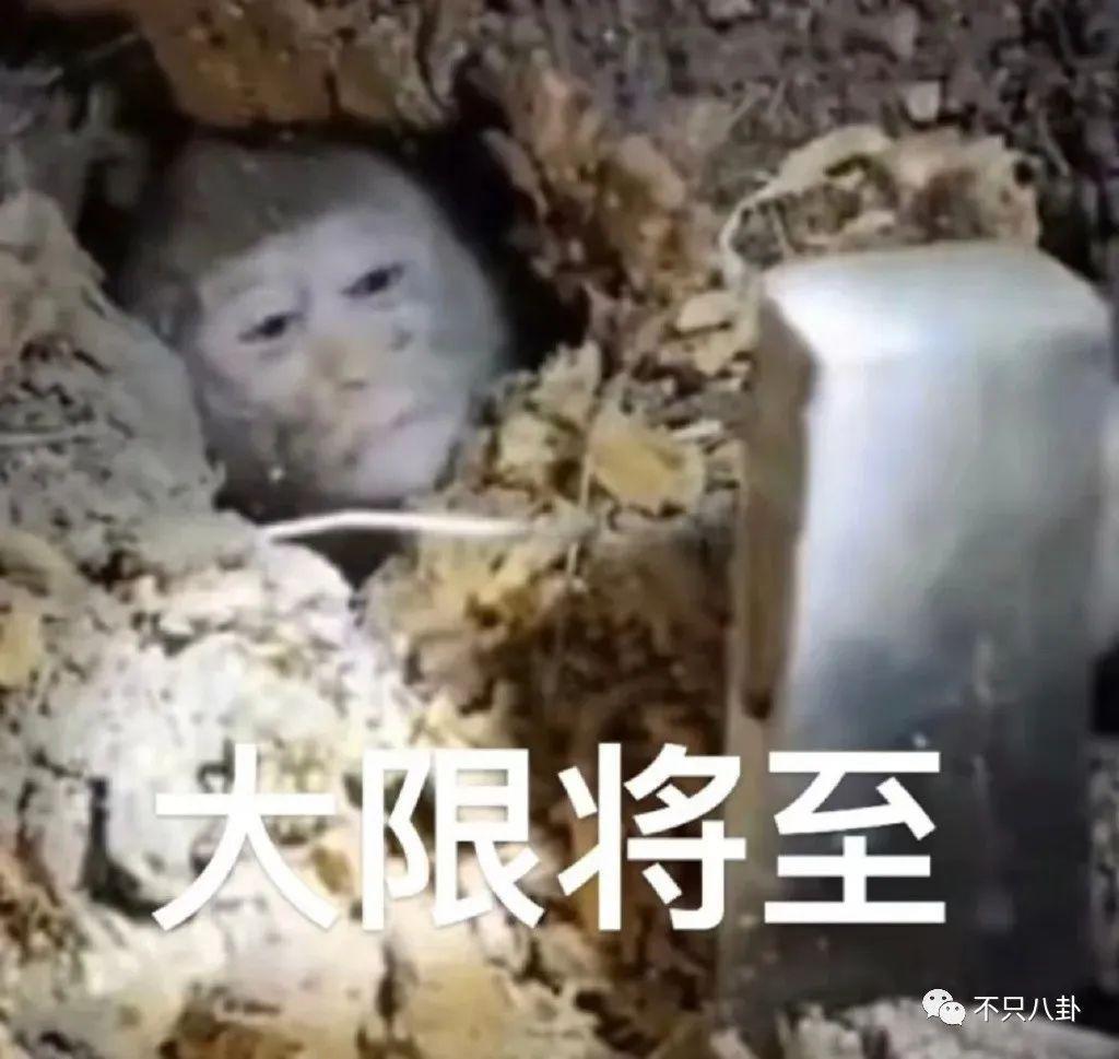 男主又换人了？这部剧的命运也太坎坷了吧……