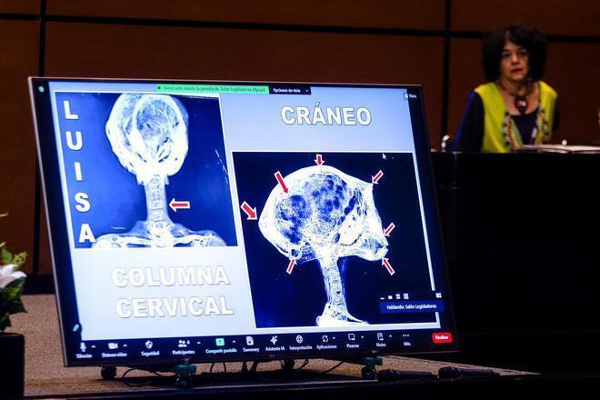 “外星人”遗骸再次亮相墨西哥国会，研究人员称曾是活物