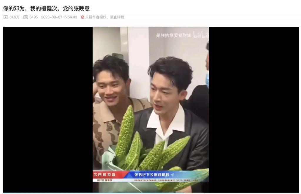 老实人张晚意，怎么成了背德感男神