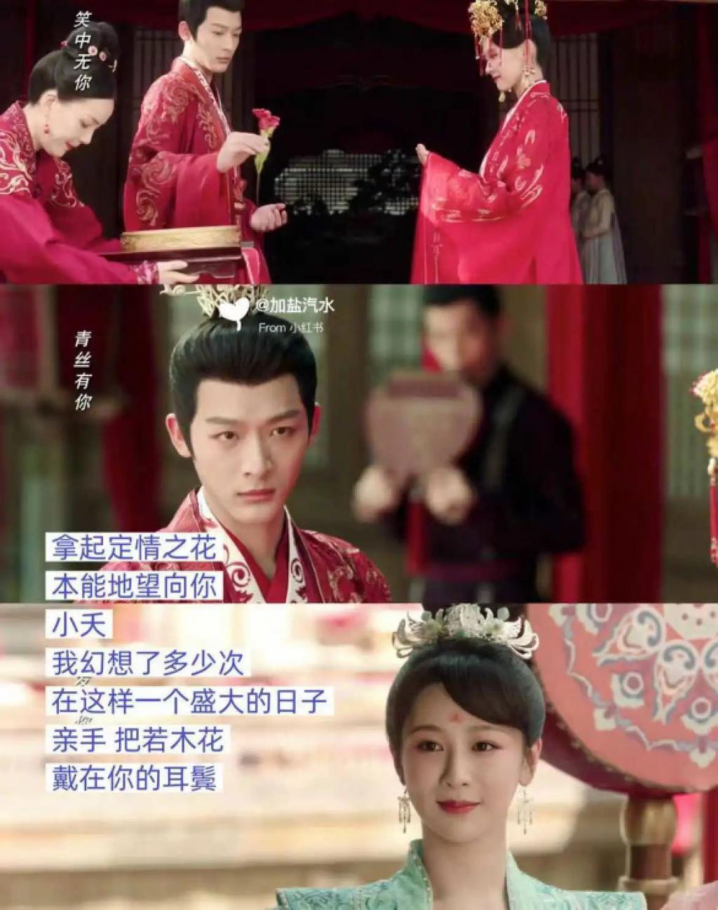 老实人张晚意，怎么成了背德感男神