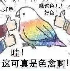 阉割后还能9.7，原版是有多逆天？