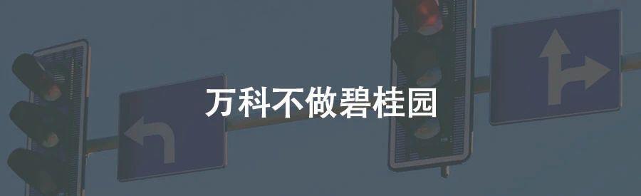 双11狂欢：最后一公里的战争