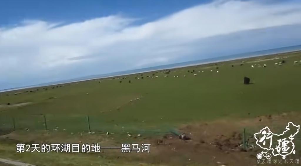 靠着一人一狗一单车，这哥们在B站上疯涨10万粉丝。