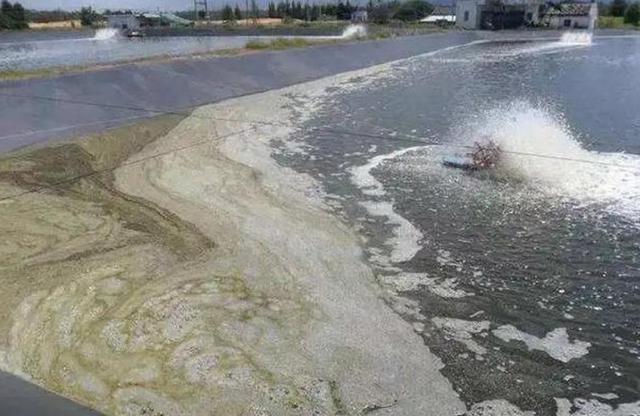 日本大阪府部分居民血检异常