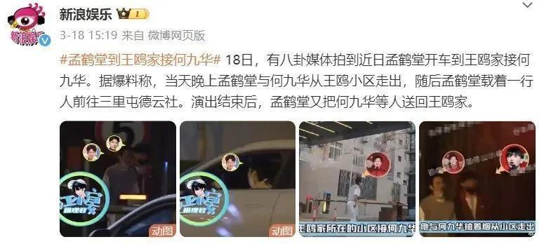 41岁王鸥怀孕被骂上热搜？男方身份曝光引热议