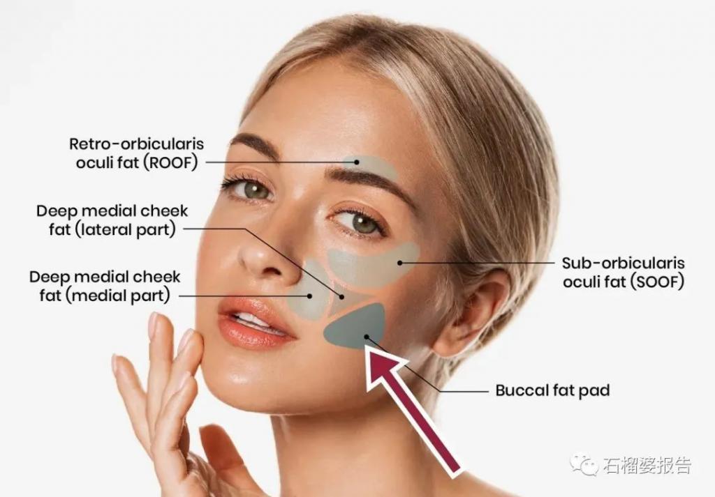 好莱坞集体瘦脸，又有了新的整形重点？