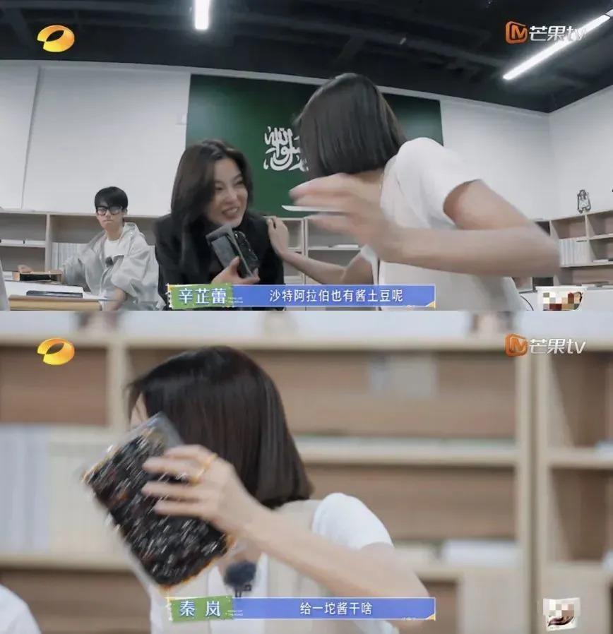 发疯的东北女明星，治好了我的精神内耗