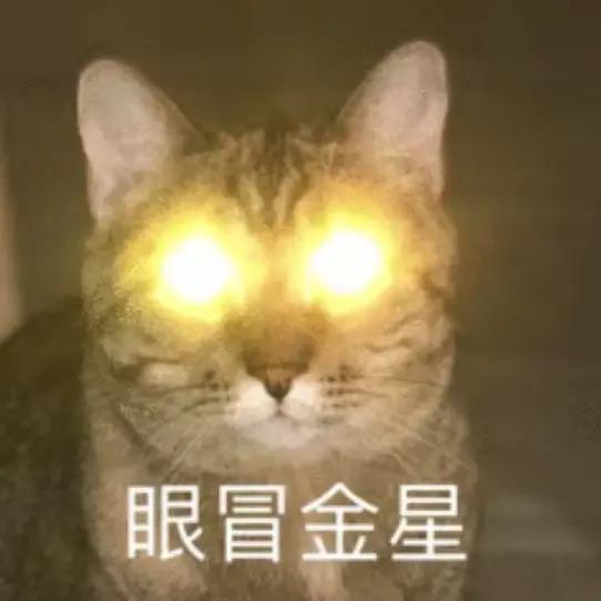 发疯的东北女明星，治好了我的精神内耗
