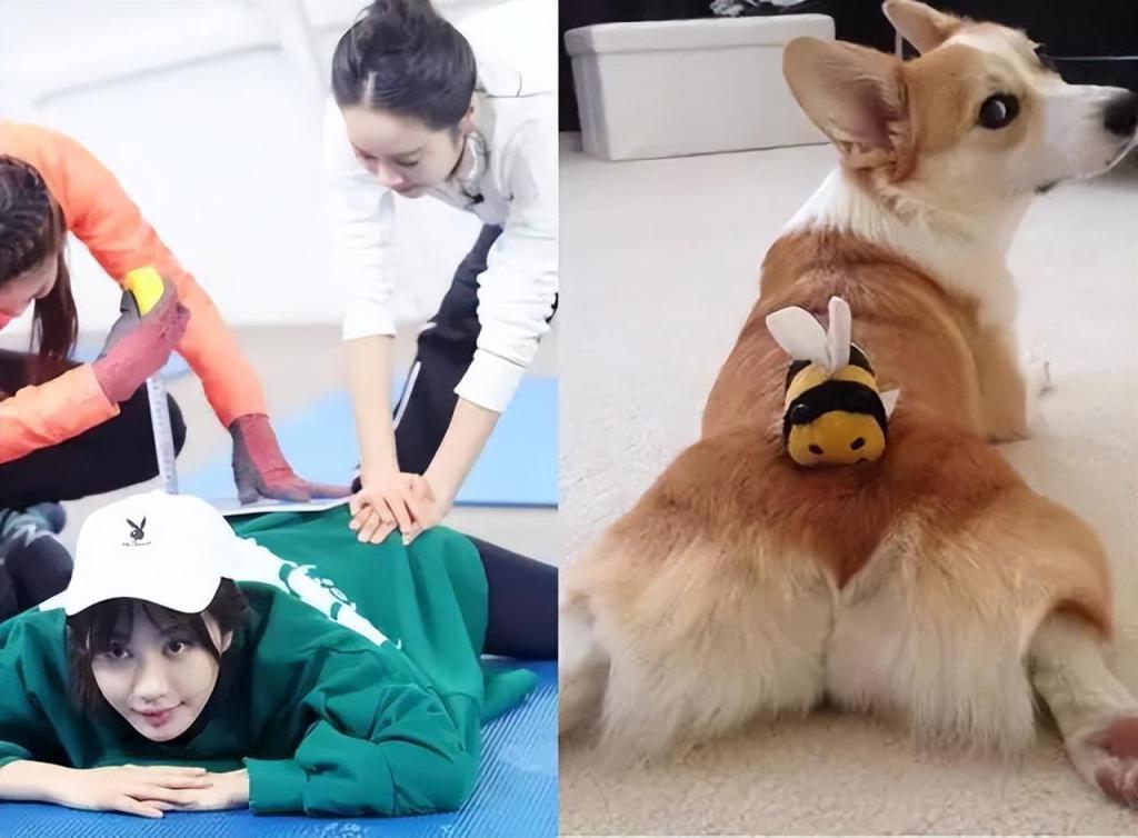 36岁李菲儿：机场大胆撩衣露身材，露出内搭的倒三角部位惹争议！