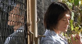 13年后，顶流男星之死