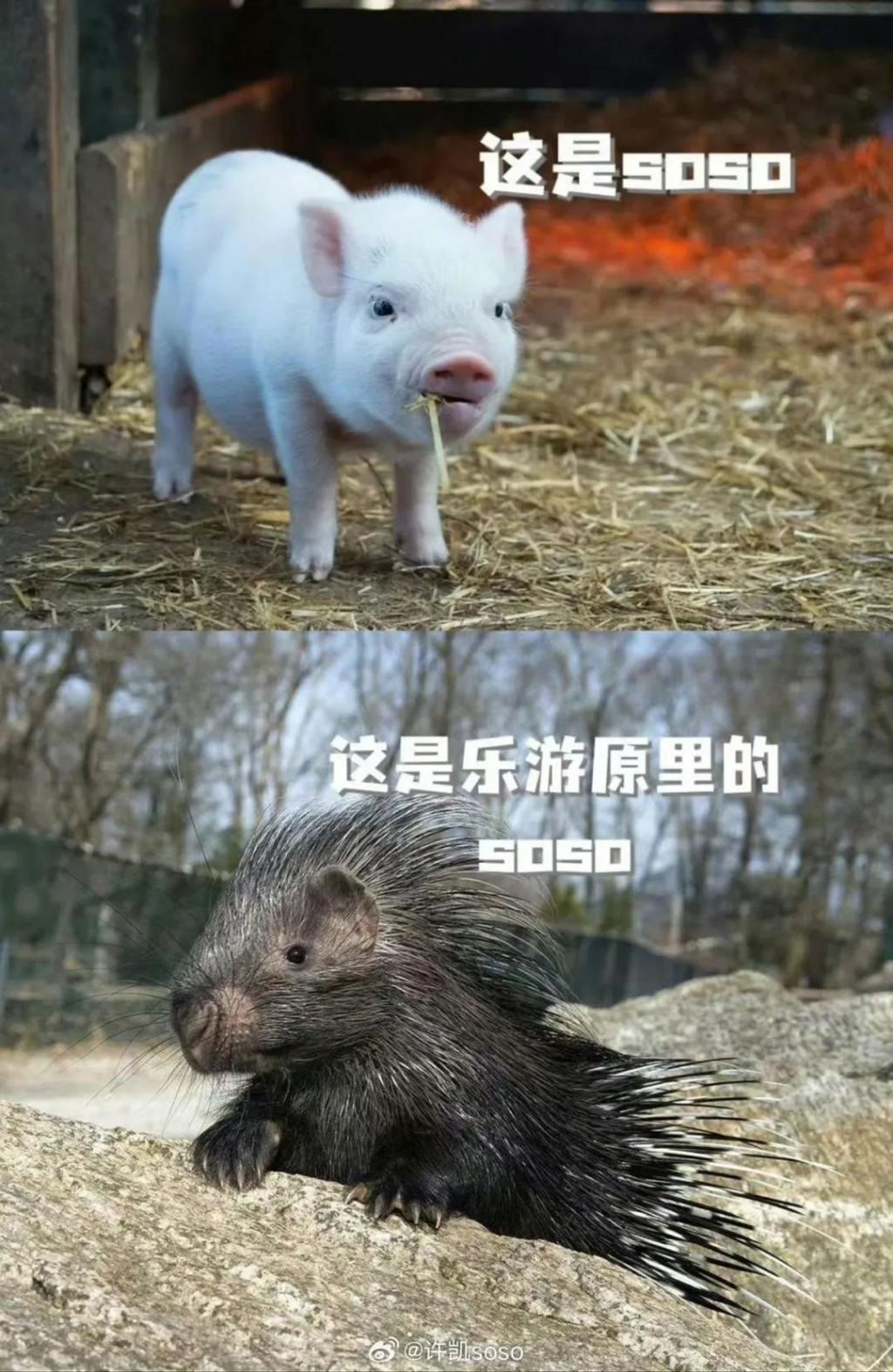 这泼天的富贵，她接住了