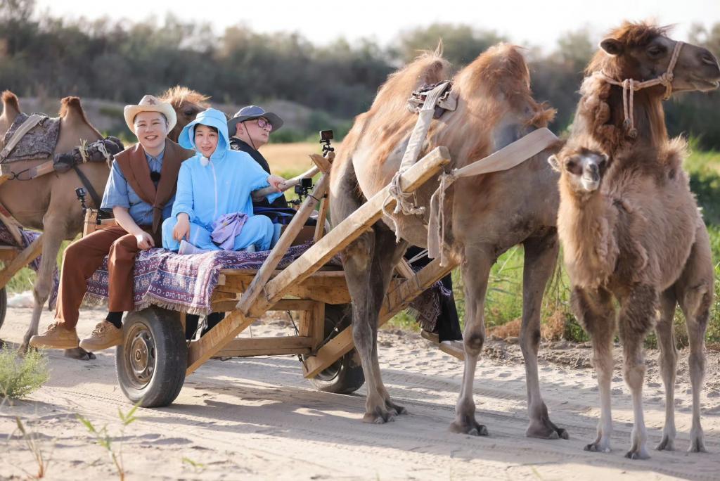 当我们看《再见爱人》时到底在看什么？