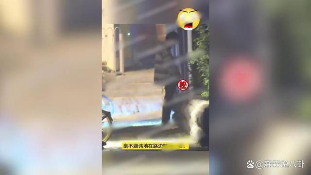 “高启盛”苏小玎就随地小便发文道歉：今后严格规范行为