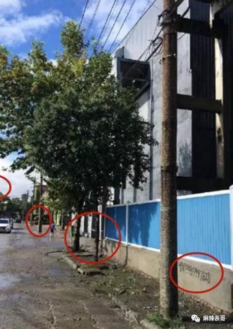 才几年，就又走深情人设了？