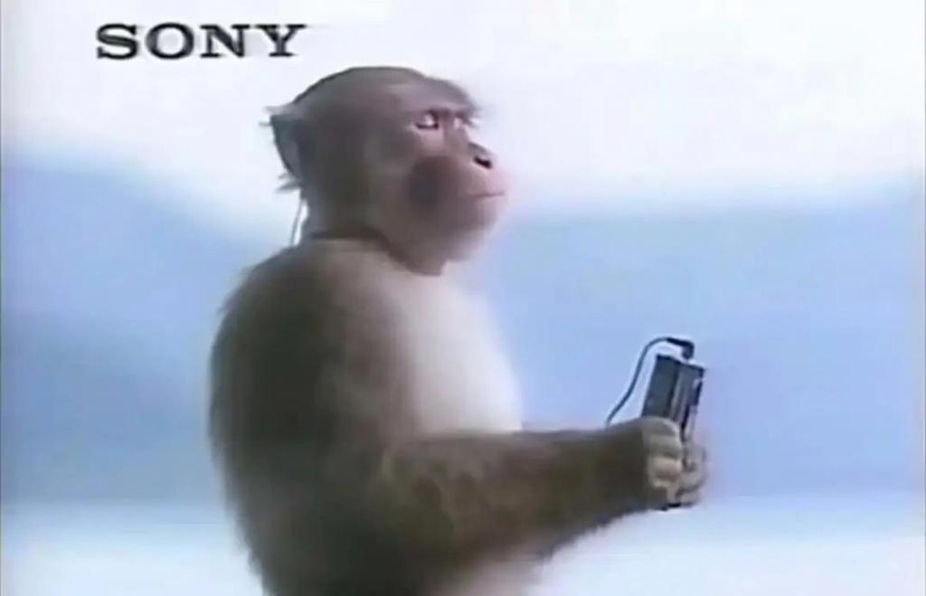 戴上人均宋慧乔，这个“电子垃圾”咋成打工人的氛围感神器了？