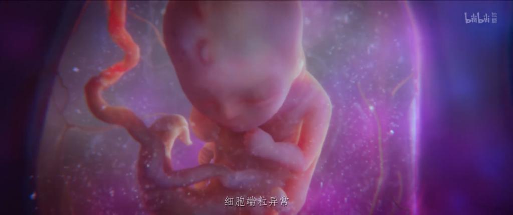 4年憋出30分钟，这部成人科幻快把我整谢了