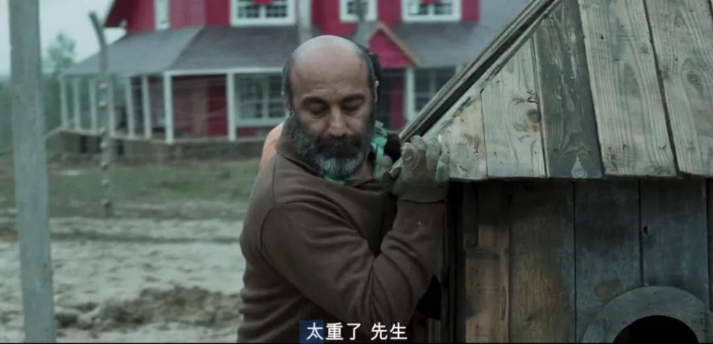不愧是伊朗去年最炸的电影！