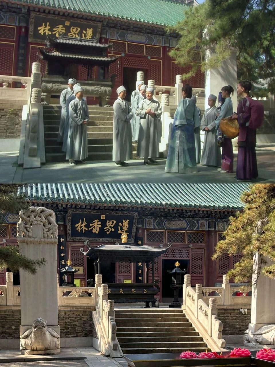 一场东北大雪，让果嬛党迎来了泼天的富贵