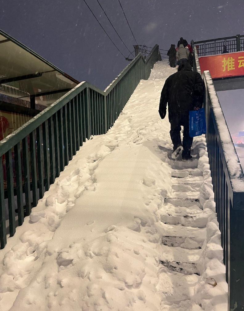 一场东北大雪，让果嬛党迎来了泼天的富贵