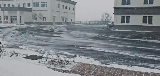 一场东北大雪，让果嬛党迎来了泼天的富贵