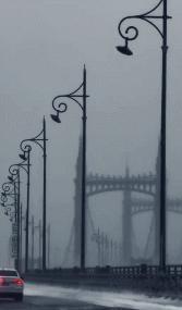 一场东北大雪，让果嬛党迎来了泼天的富贵