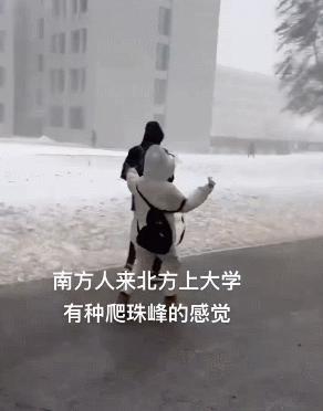 一场东北大雪，让果嬛党迎来了泼天的富贵