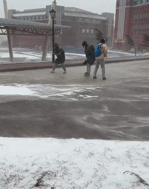 一场东北大雪，让果嬛党迎来了泼天的富贵