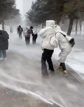 一场东北大雪，让果嬛党迎来了泼天的富贵