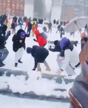 一场东北大雪，让果嬛党迎来了泼天的富贵