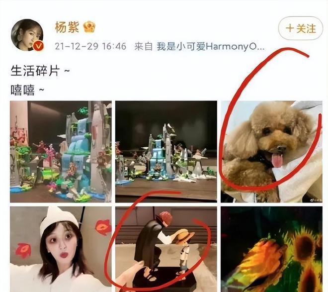 知名娱记曝杨紫恋爱！两人同在一小区，男方身份遭扒