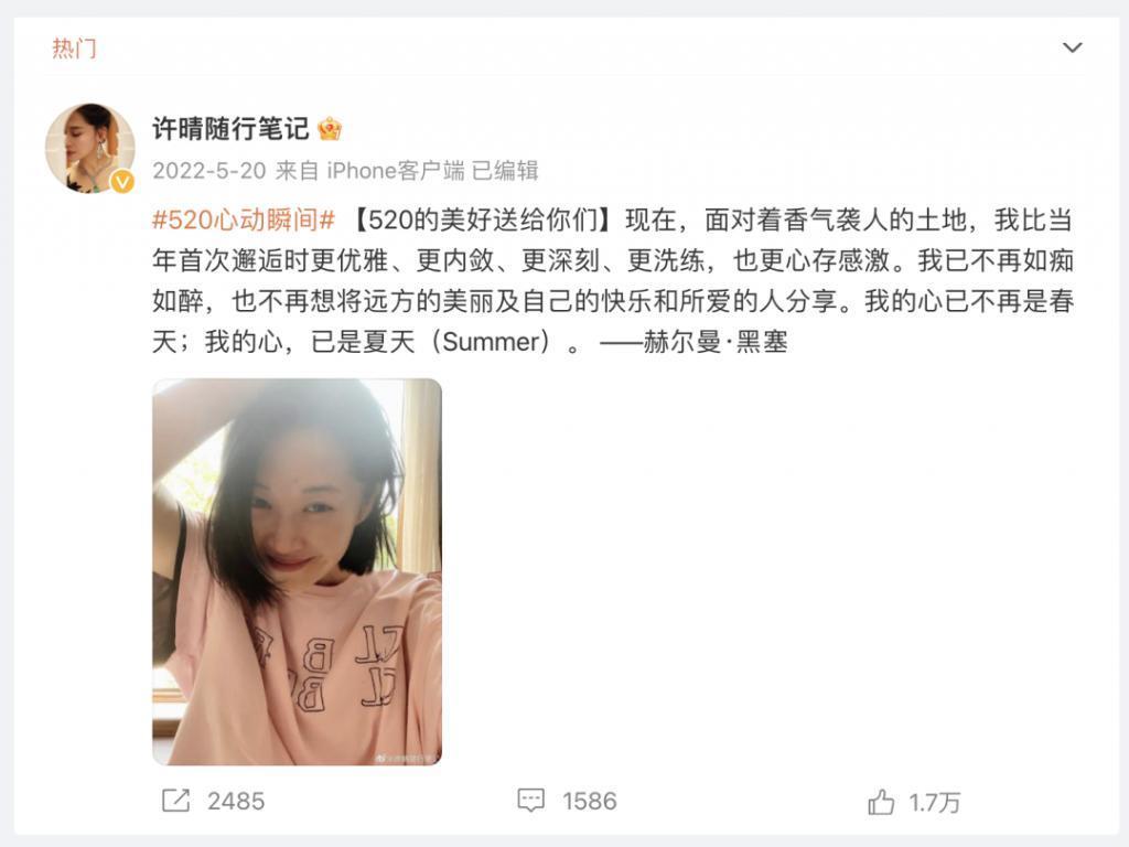 许晴,被封杀了?