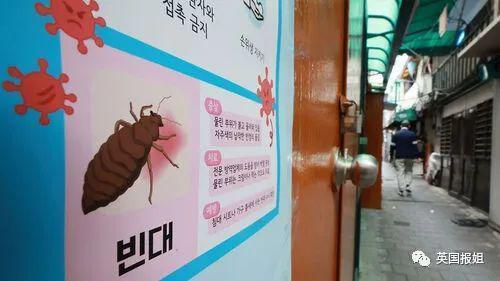 巴黎嗜血臭虫已到亚洲！韩国大学寝室商店健身房现大面积虫卵，香港地铁也遭侵袭？！