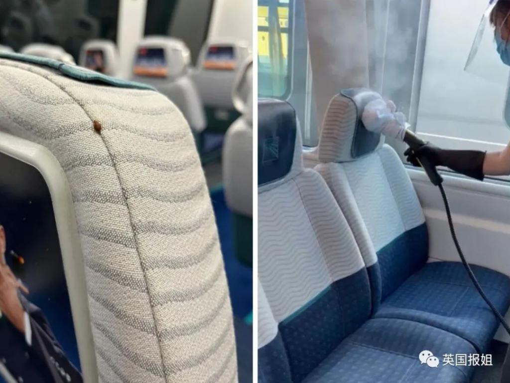 巴黎嗜血臭虫已到亚洲！韩国大学寝室商店健身房现大面积虫卵，香港地铁也遭侵袭？！