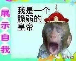 七年情断被赞恭喜？只有CP粉受伤的世界达成了……