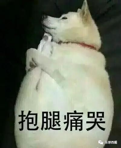 七年情断被赞恭喜？只有CP粉受伤的世界达成了……