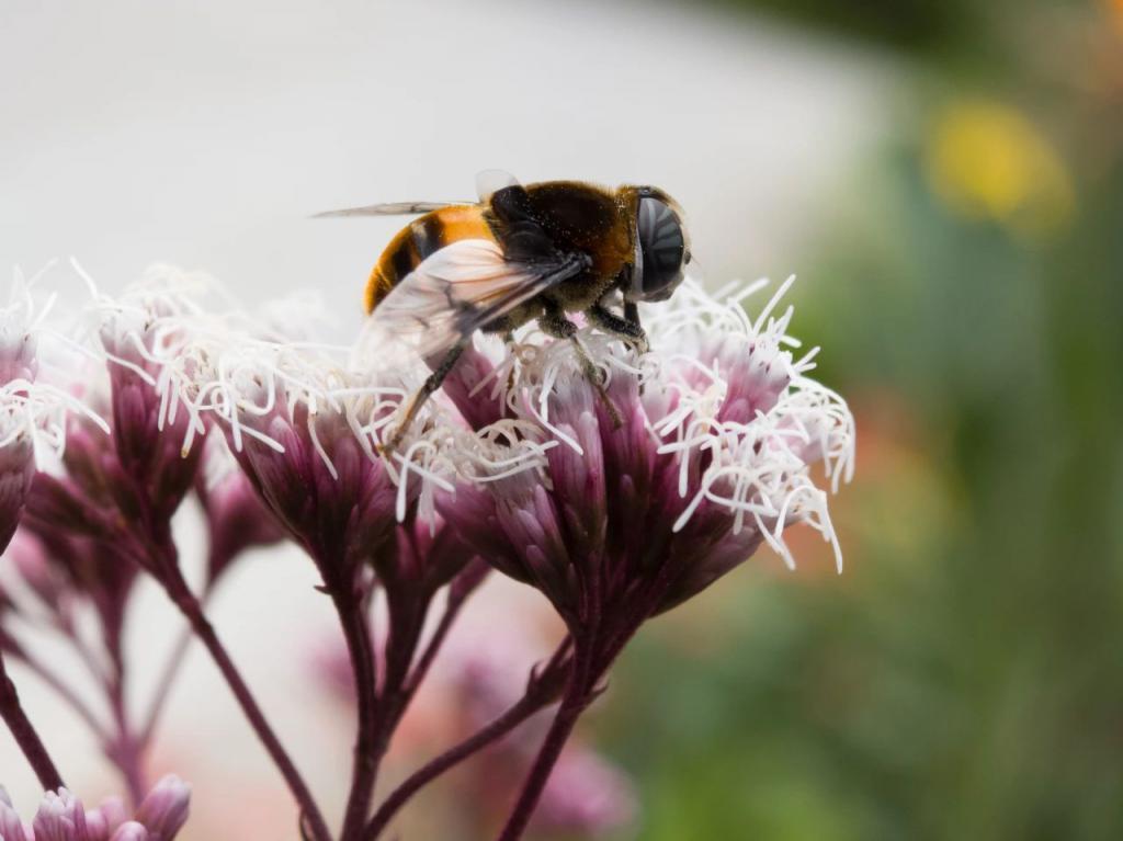 华为Mate60 Pro影像评测