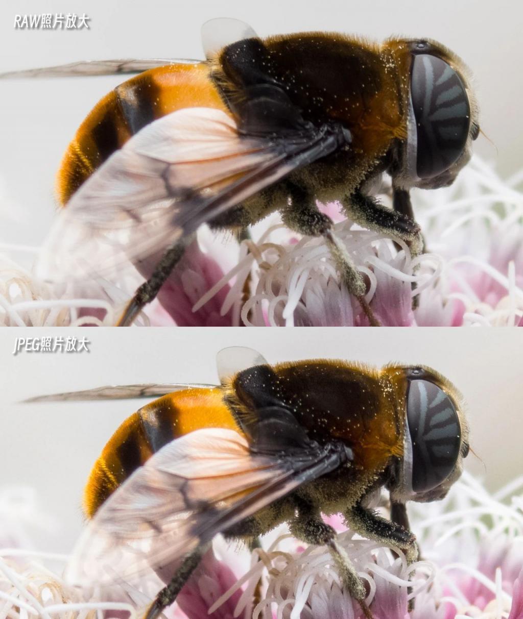 华为Mate60 Pro影像评测