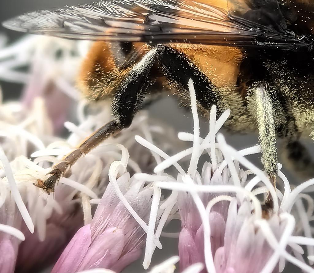 华为Mate60 Pro影像评测