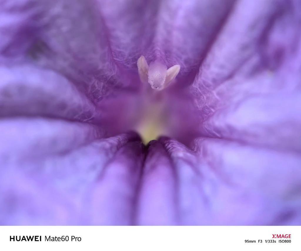 华为Mate60 Pro影像评测