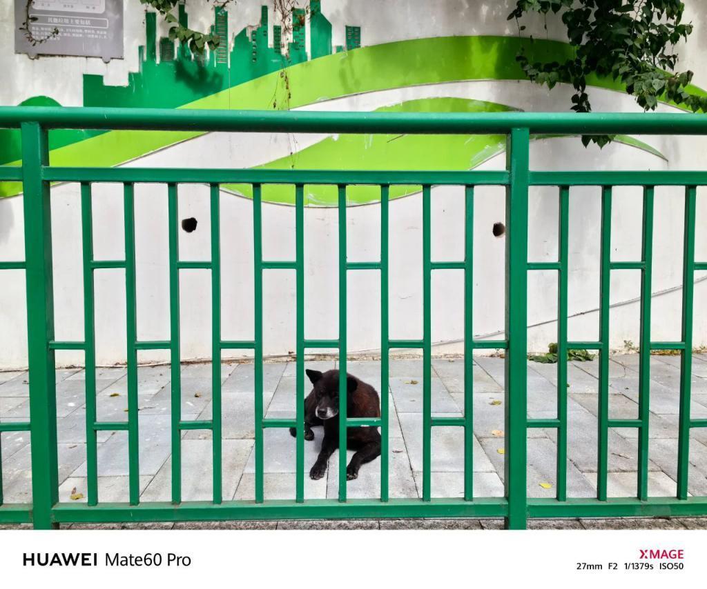 华为Mate60 Pro影像评测