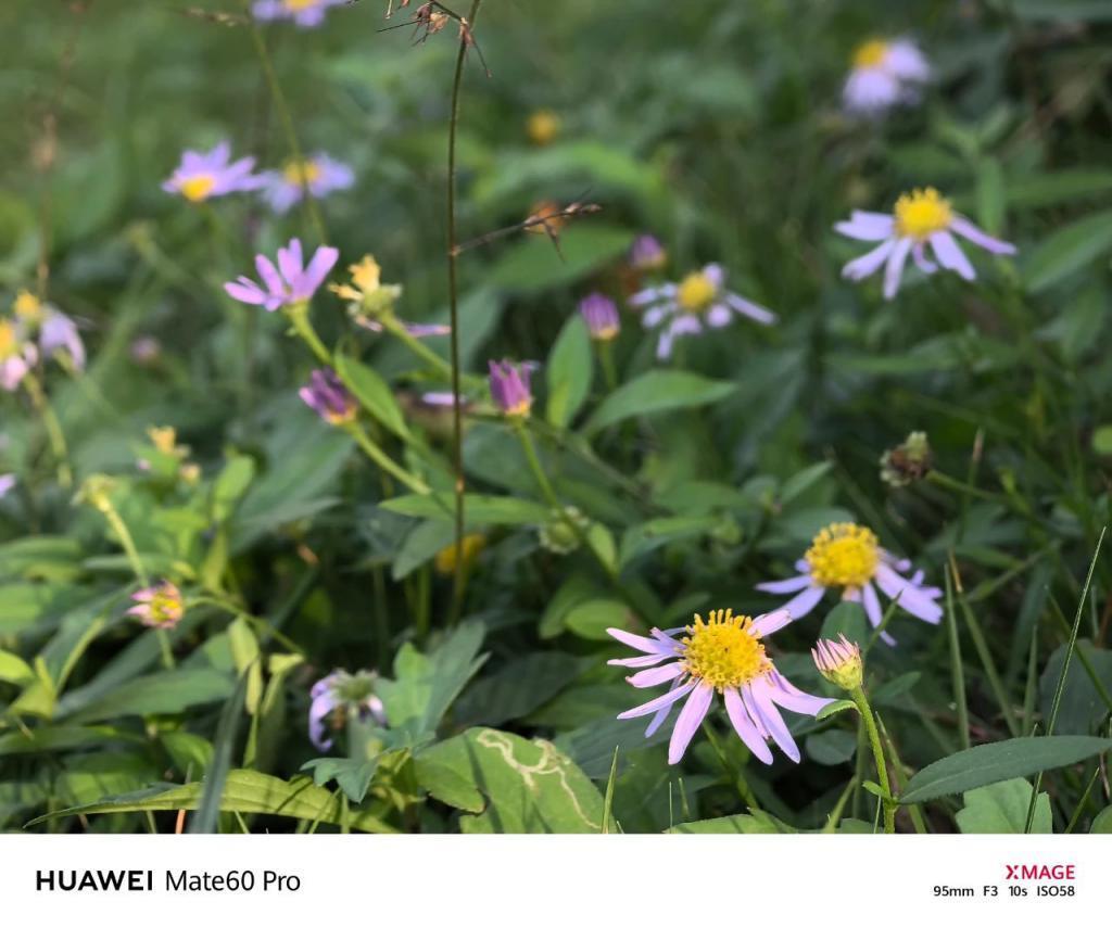 华为Mate60 Pro影像评测