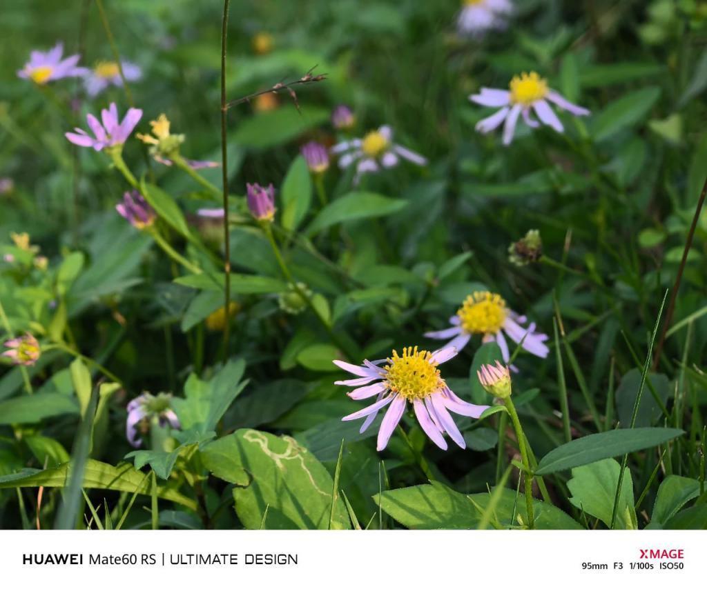 华为Mate60 Pro影像评测