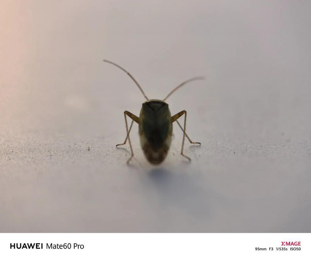 华为Mate60 Pro影像评测