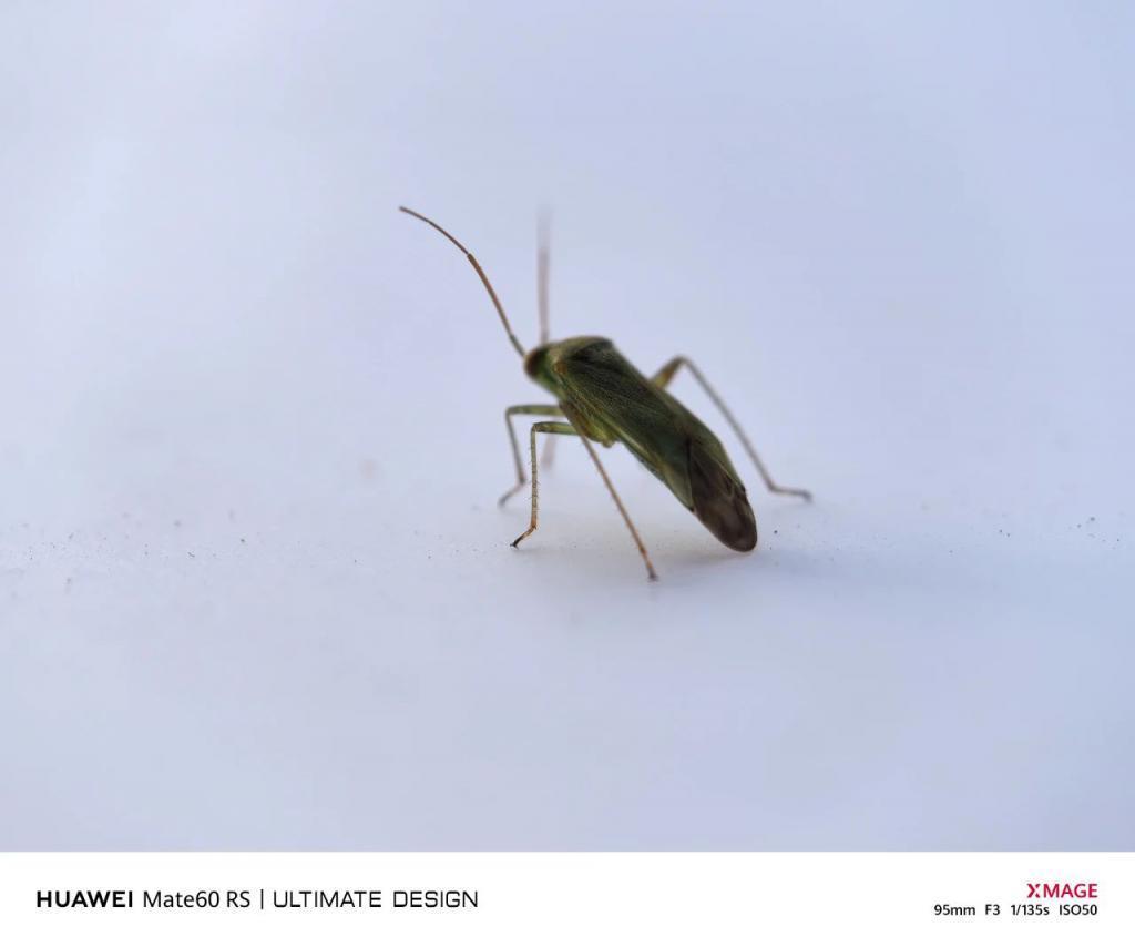 华为Mate60 Pro影像评测