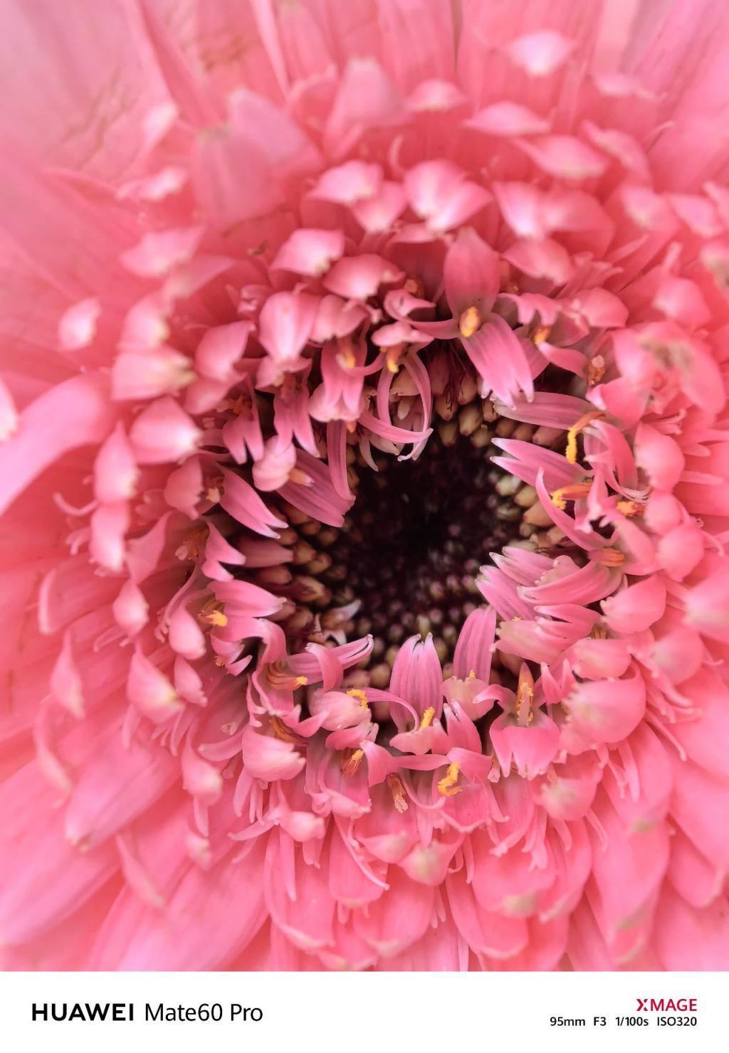 华为Mate60 Pro影像评测